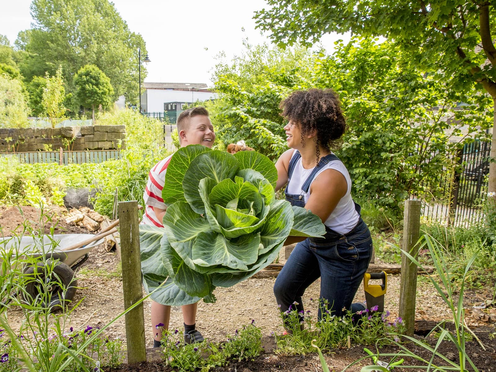 community garden