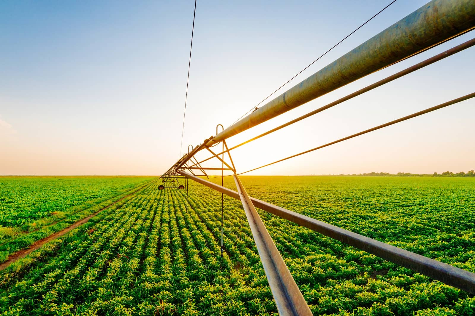 Watering farm field