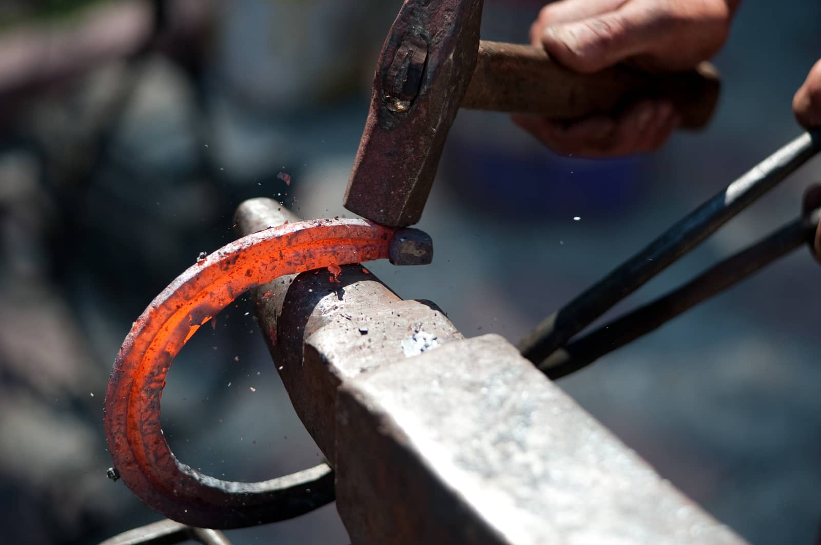 Farrier horseshoe