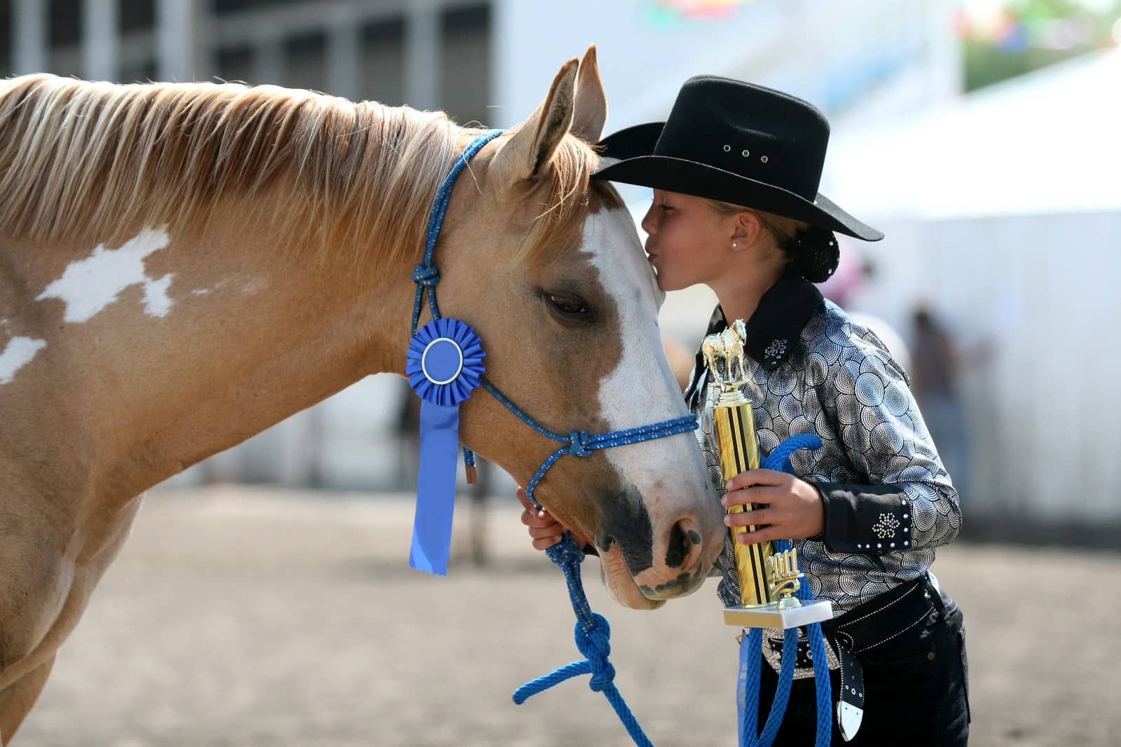 horse