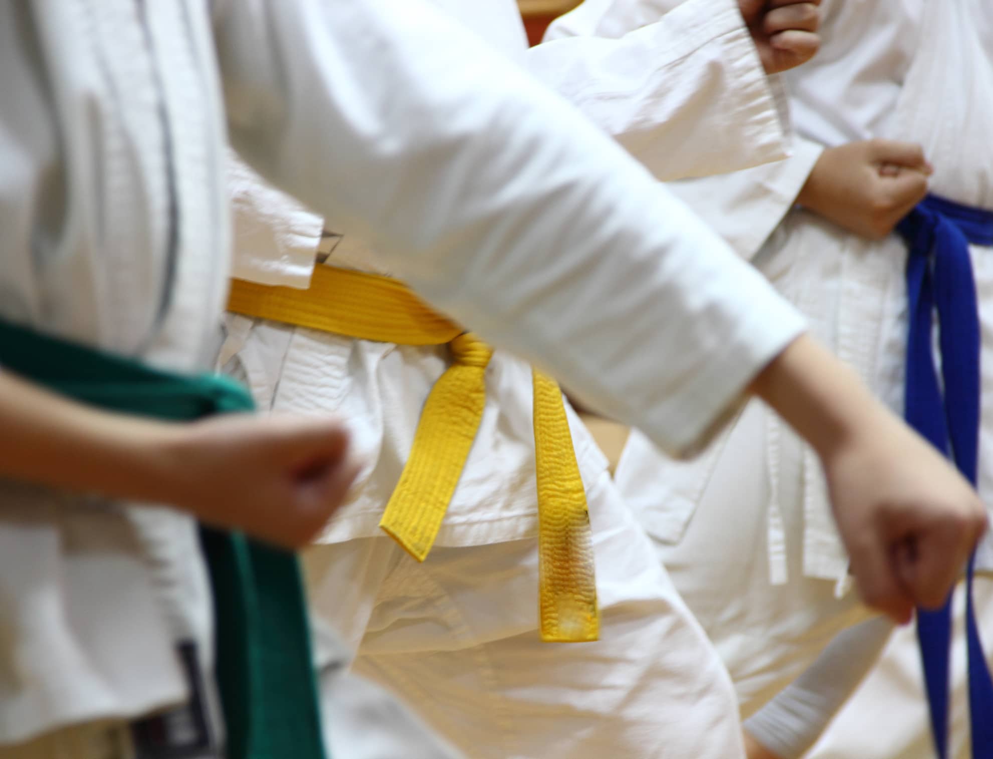 Karate kids in line