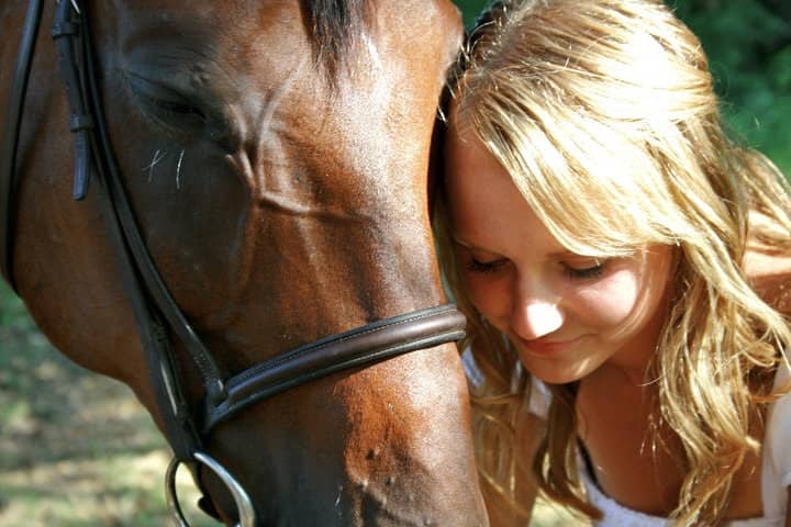 horse