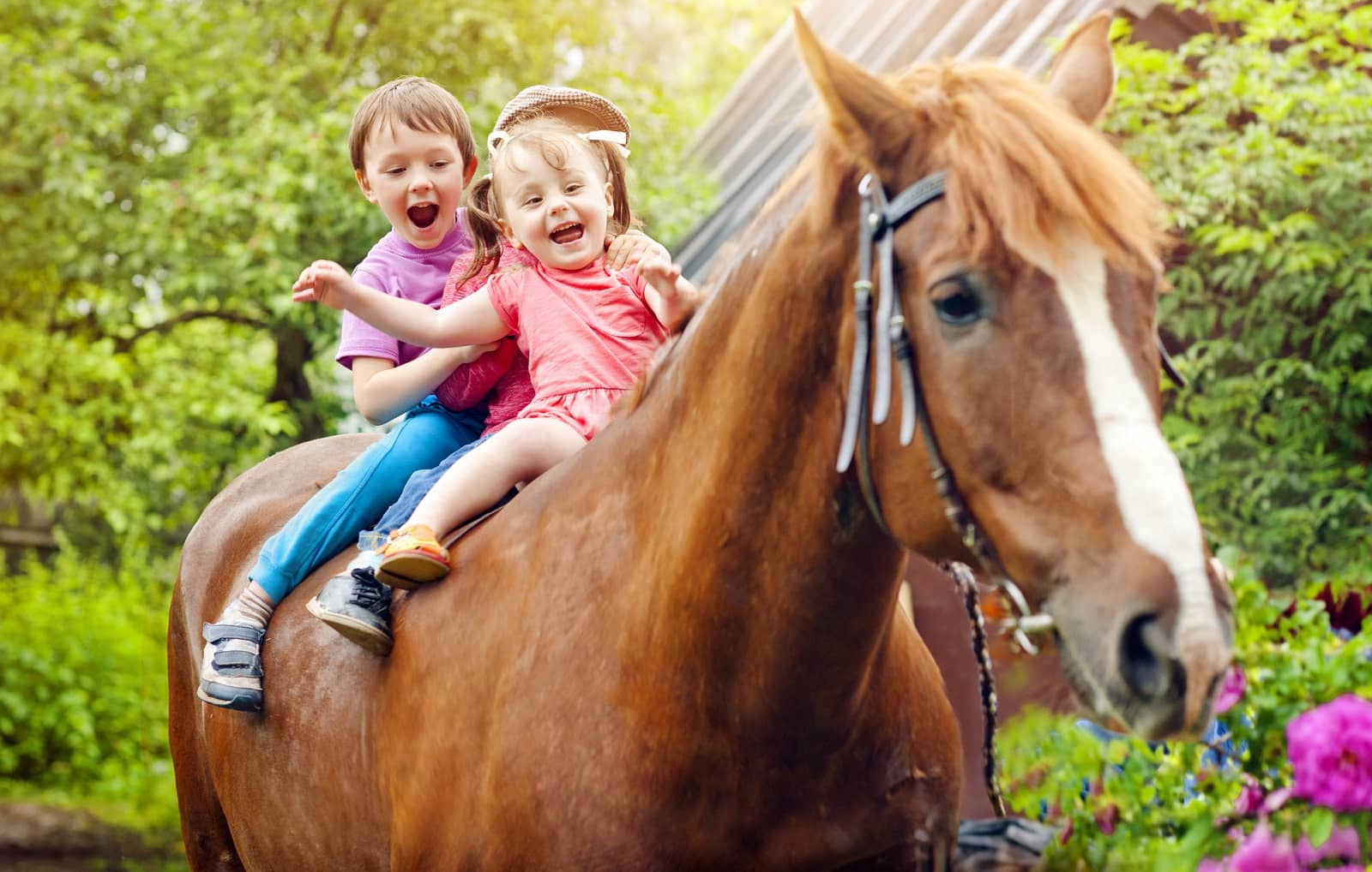 Siblings riding horse