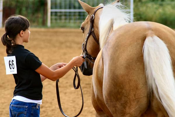 girl and horse