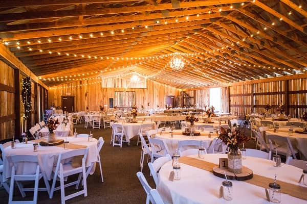 Wedding Reception